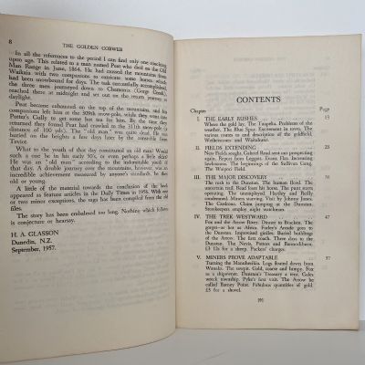 THE GOLDEN COBWEB: A saga of the Otago Goldfields, 1861-64