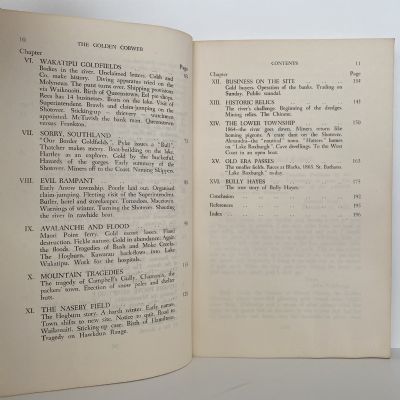 THE GOLDEN COBWEB: A saga of the Otago Goldfields, 1861-64