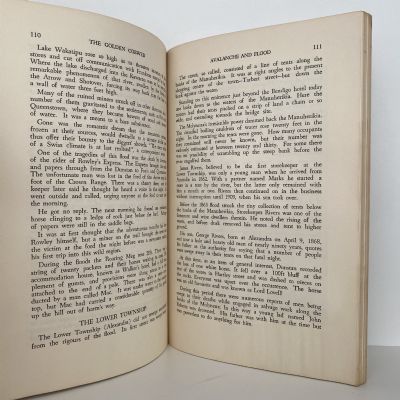 THE GOLDEN COBWEB: A saga of the Otago Goldfields, 1861-64