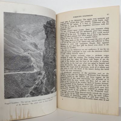 THE GOLDEN COBWEB: A saga of the Otago Goldfields, 1861-64