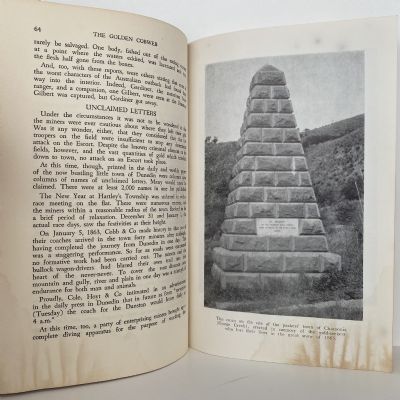 THE GOLDEN COBWEB: A saga of the Otago Goldfields, 1861-64