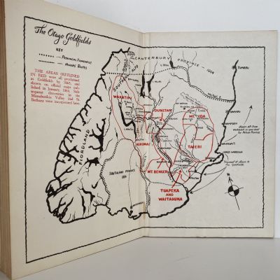 THE GOLDEN COBWEB: A saga of the Otago Goldfields, 1861-64