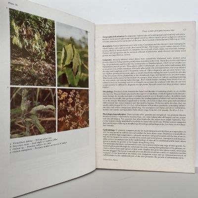 Diseases, Pests and Weeds in Tropical Crops