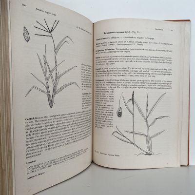 Diseases, Pests and Weeds in Tropical Crops
