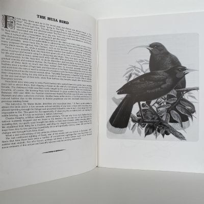THE SETTLEMENT OF THE HUIA: A history of The Huia and the Manukau Harbour
