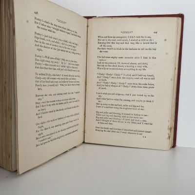 The Selected Works of BRET HARTE In Prose and Poetry