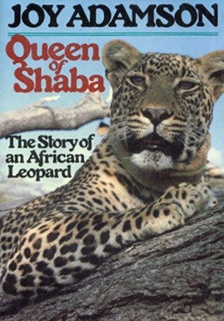 QUEEN OF SHABA: The Story of An African Leopard