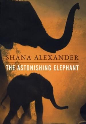 The Astonishing Elephant