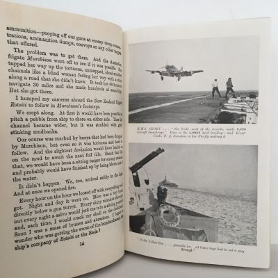 I DEFY! The Story of Lieutenant Dennis Lankford