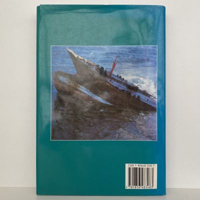 DISASTER AT SEA