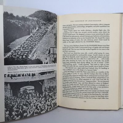 PIERCING THE REICH