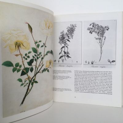 Flowers in Art from East and West