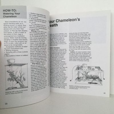 CHAMELEONS: A Complete Pet Owners Manual