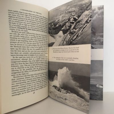 A BIOGRAPHY OF THE SEA