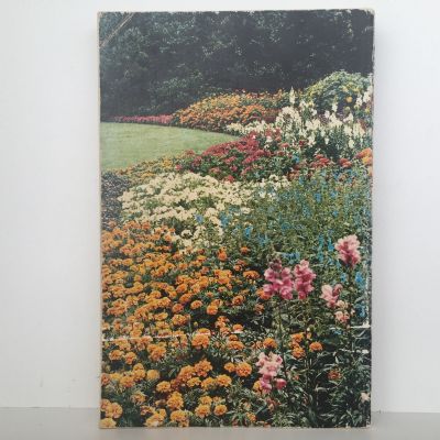 YATES GARDEN GUIDE: 52nd Edition