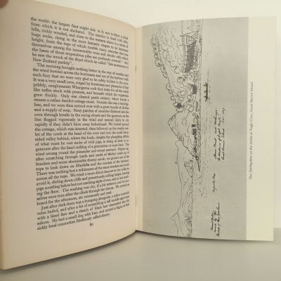 Land from the Masthead