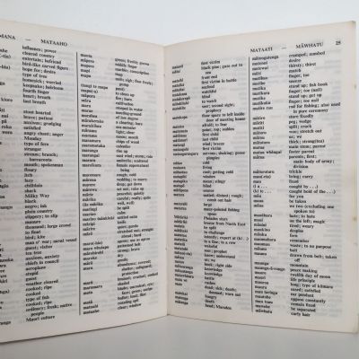 THE NEW DICTIONARY OF MODERN MAORI