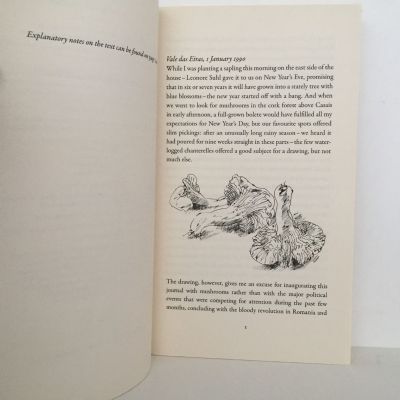 FROM GERMANY TO GERMANY: Diary 1900