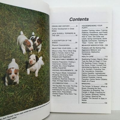 JACK RUSSELL TERRIERS