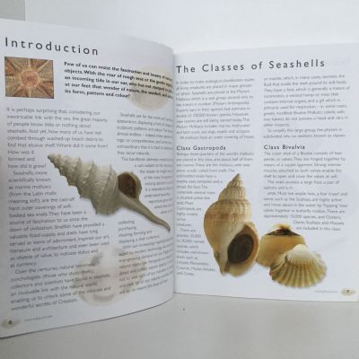 SHELL HANDBOOK