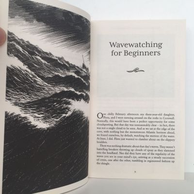 The Wavewatcher's Companion