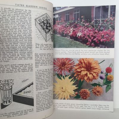 YATES GARDEN GUIDE: 42nd Edition