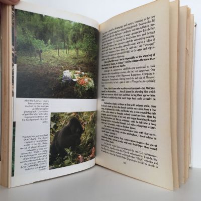 WOMAN IN THE MISTS: Story Of Dian Fossey and The Mountain Gorillas Of Africa