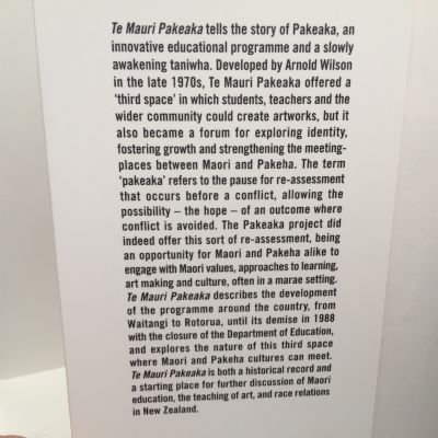 TE MAURI PAKEAKA: A Journey Into the Third Space