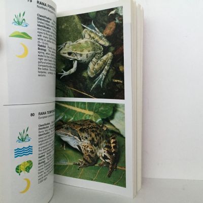AMPHIBIANS AND REPTILES: The Macdonald Encyclopedia