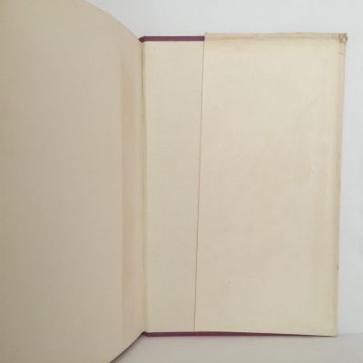 THE FIGHTING MAN: A Study of The Life and Times T. E. Taylor