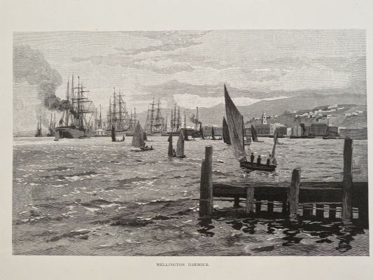 OLD DRAWING: Wellington Harbour