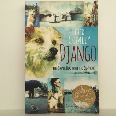 DJANGO: The Small Dog with The Big Heart