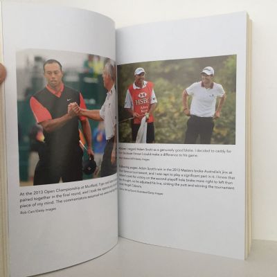 STEVE WILLIAMS: Out of The Rough