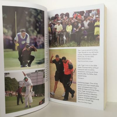 STEVE WILLIAMS: Out of The Rough