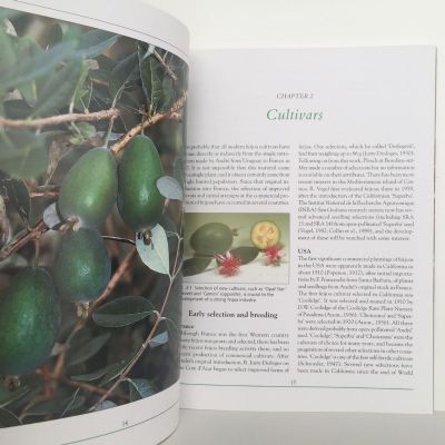 FEIJOAS: Origins, Cultivation and Uses