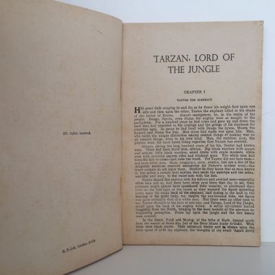 TARZAN LORD OF THE JUNGLE