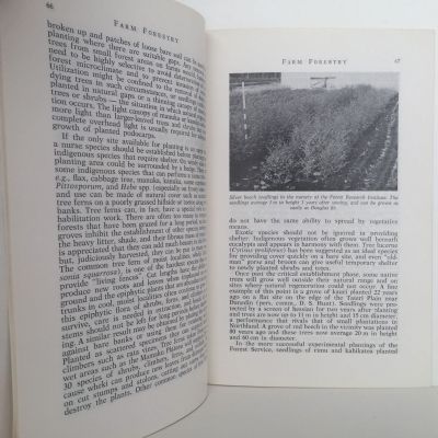 FARM FORESTRY ASSOCIATION: Vintage Journal : Vol 19 . No 3. Sept 1977
