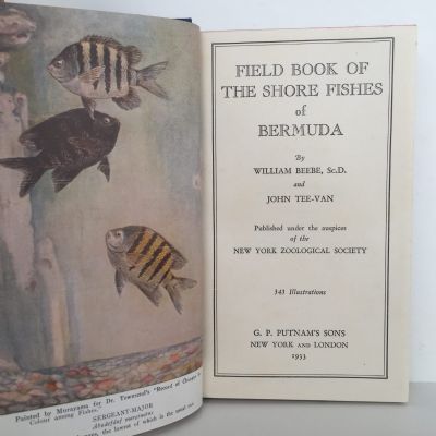 FIELD BOOK OF THE SHORE FISHES OF BERMUDA