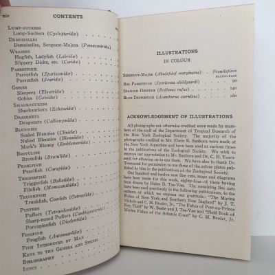 FIELD BOOK OF THE SHORE FISHES OF BERMUDA