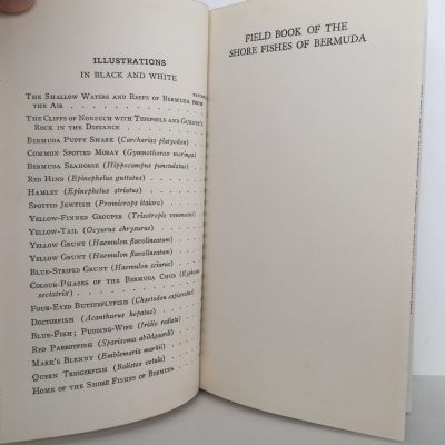 FIELD BOOK OF THE SHORE FISHES OF BERMUDA