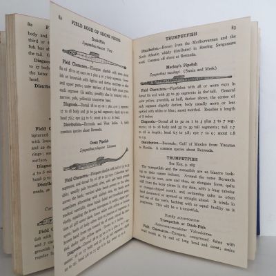 FIELD BOOK OF THE SHORE FISHES OF BERMUDA