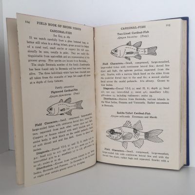 FIELD BOOK OF THE SHORE FISHES OF BERMUDA