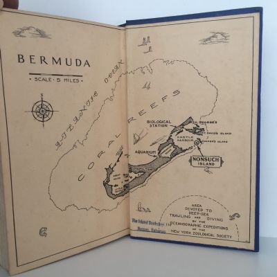 FIELD BOOK OF THE SHORE FISHES OF BERMUDA