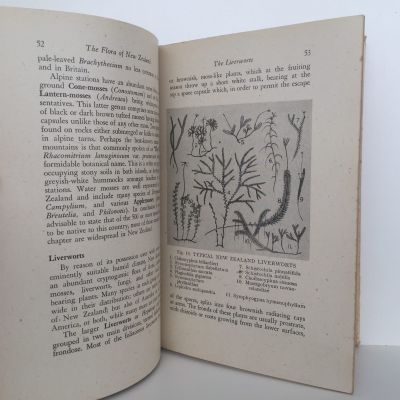 THE FLORA OF NEW ZEALAND: 3rd Revised Edition