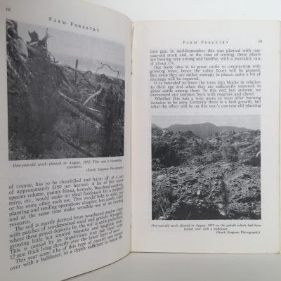 FARM FORESTRY ASSOCIATION: Journal : Vol 15 . No 3. Sept 1973