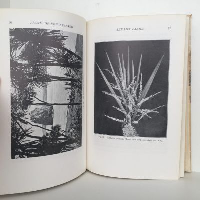 PLANTS of New Zealand