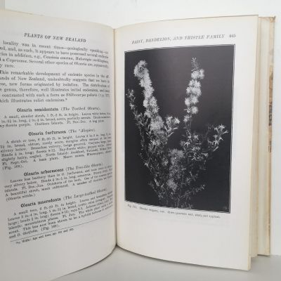 PLANTS of New Zealand