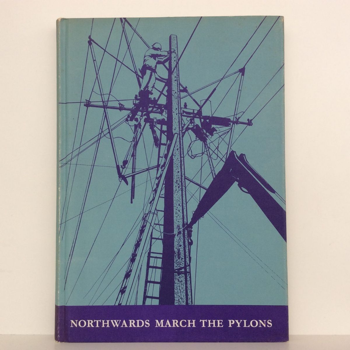 NORTHWARDS MARCH THE PYLONS: A History of The Waitemata Power Board