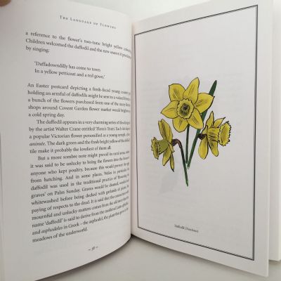 THE LANGUAGE OF FLOWERS GIFT BOOK