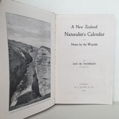 A NEW ZEALAND NATURALIST'S CALENDAR